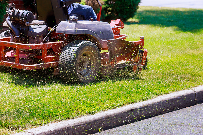 General Lawn Care | Wingnut Yards