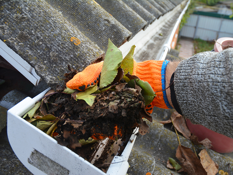 Gutter Cleaning by Wingnut Yards