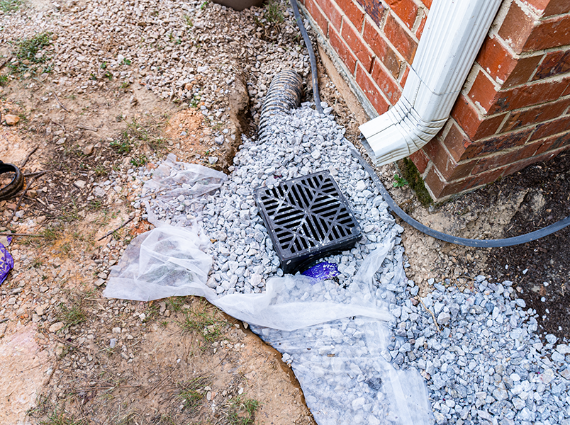 Lawn Drainage Services by Wingnut Yards