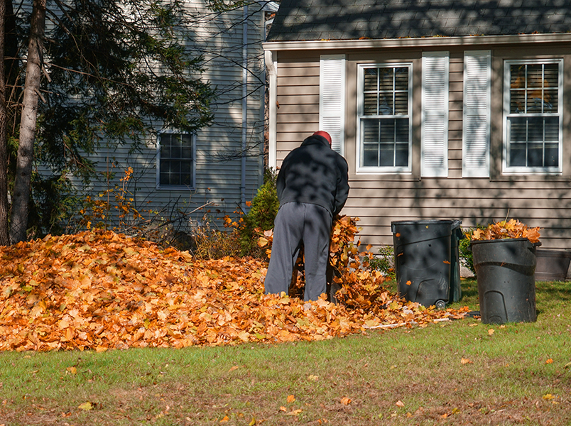 Leaf Removal by Wingnut Yards
