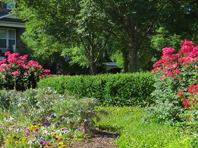 Plant Installation by Wingnut Yards