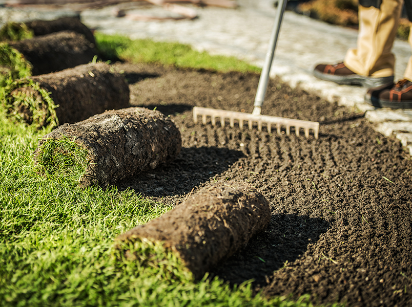 Turf Installation by Wingnut Yards