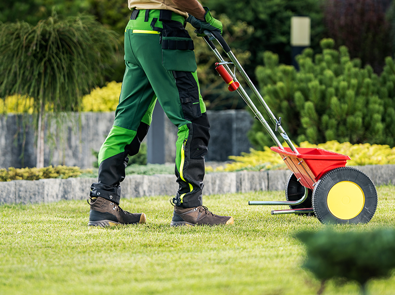 Turf Treatment by Wingnut Yards